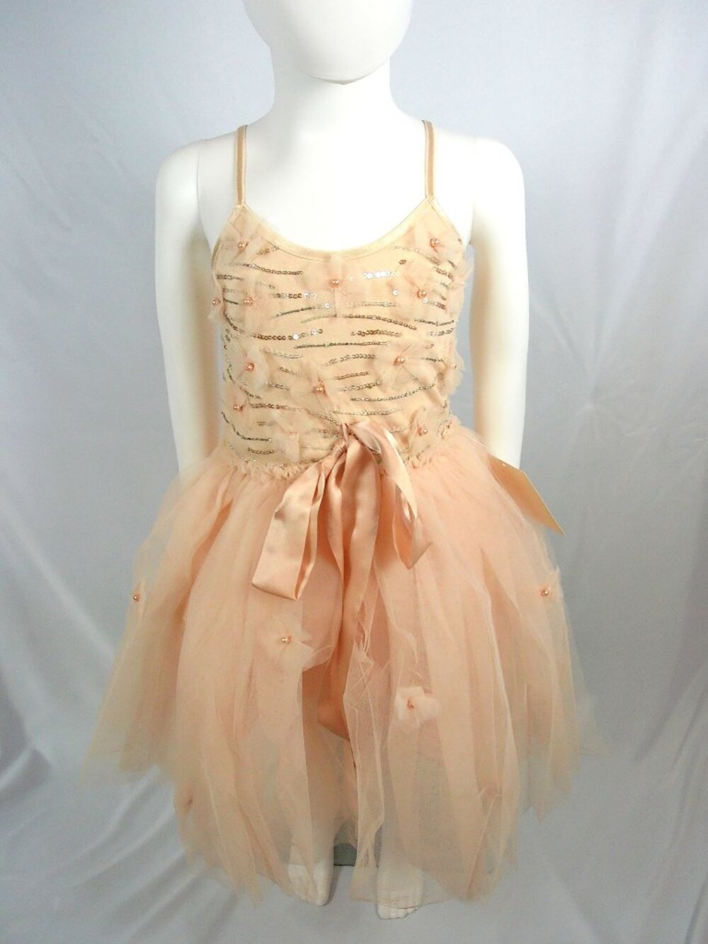 Tutu Du Monde Beautiful Bodice Dress